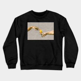 scritching a sun conure #full Crewneck Sweatshirt